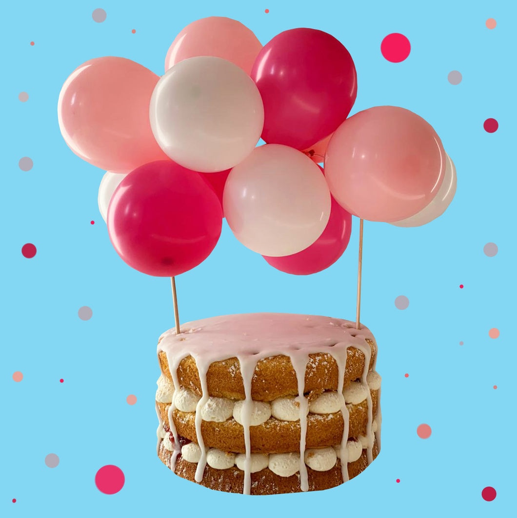 Balloon Cake Kit- Pinks